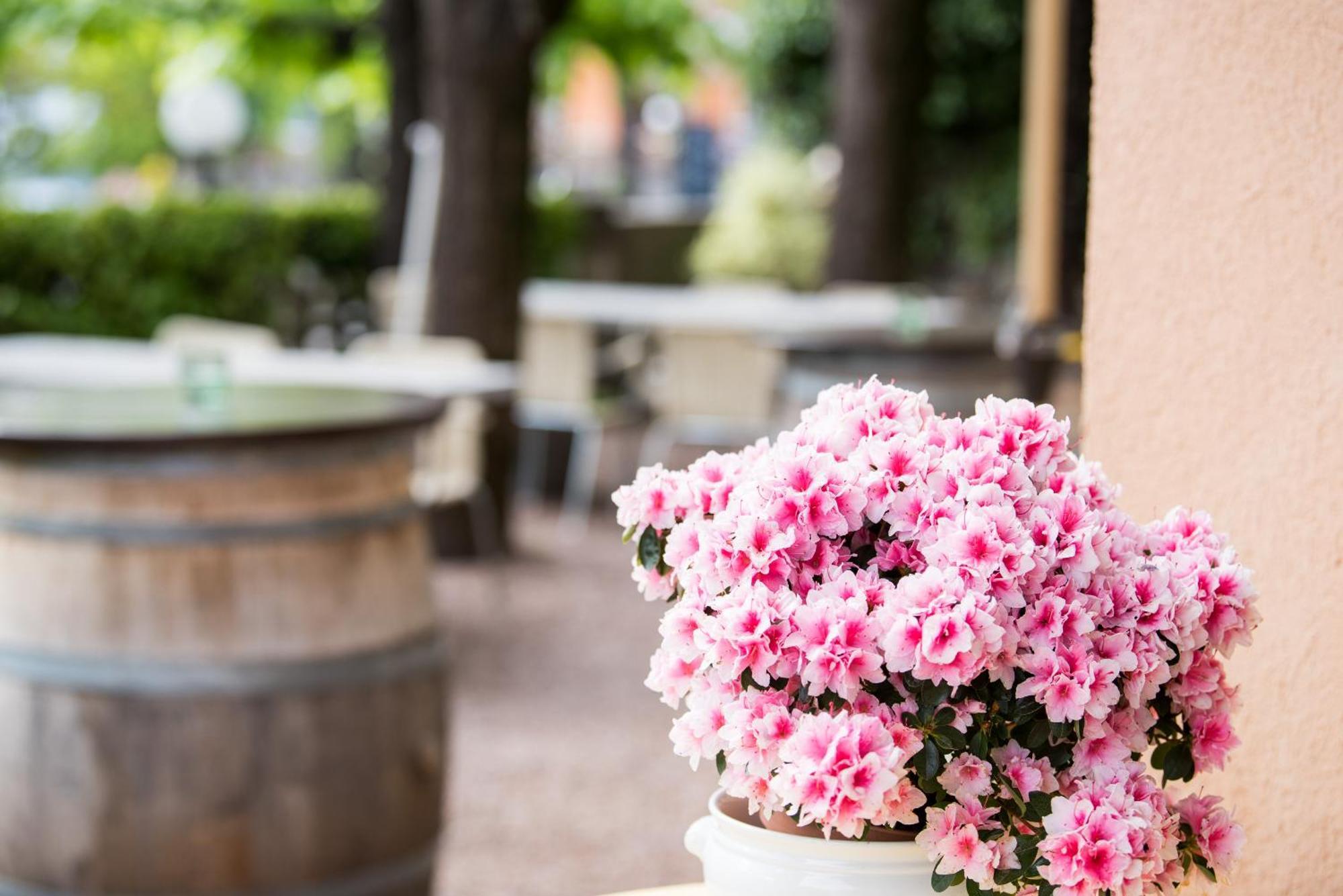 Albergo Hotel テッサーエーテ エクステリア 写真